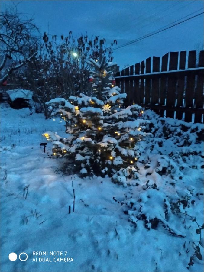 Котедж Кресаня Mîkulîciîn Exterior foto