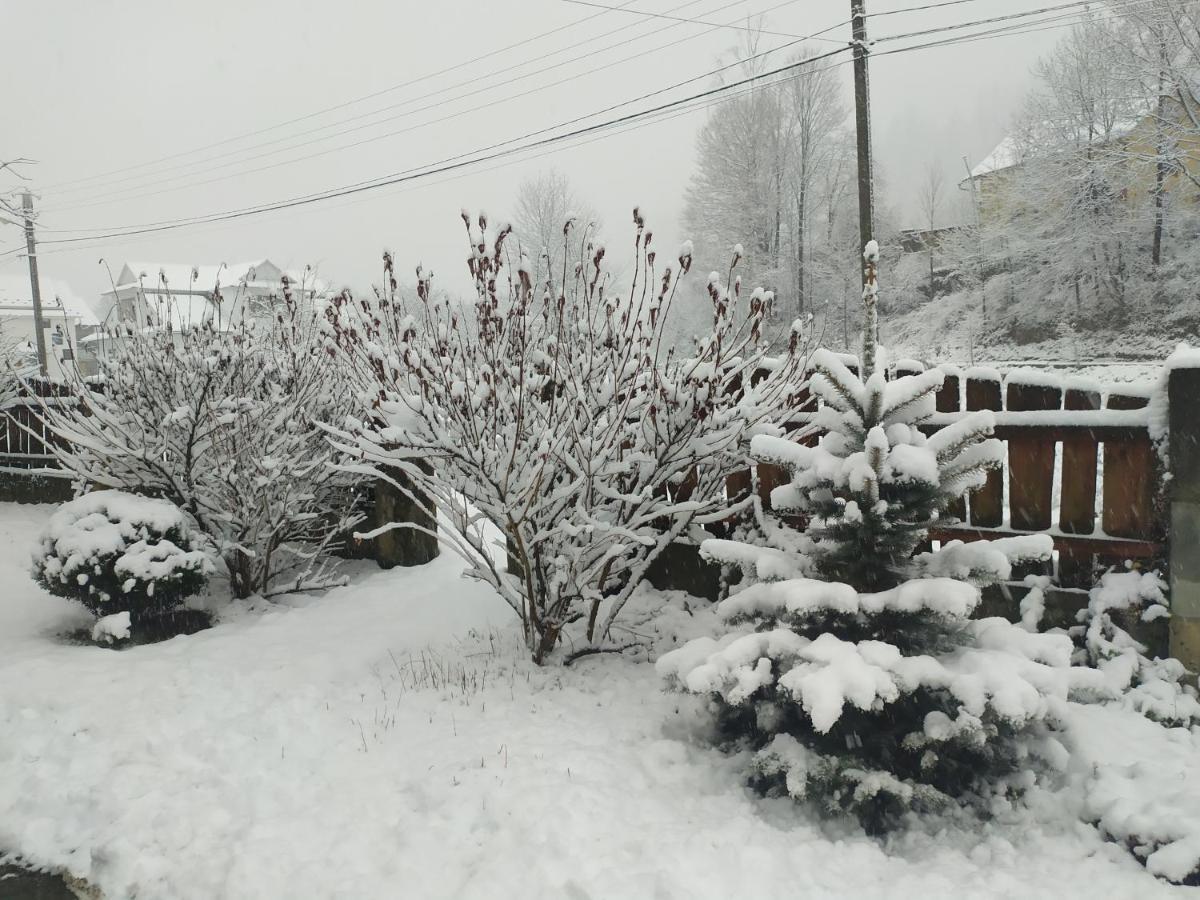 Kotej Kresanya Villa Mîkulîciîn Exterior foto