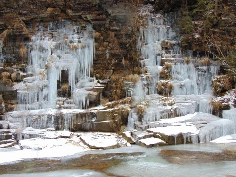 Котедж Кресаня Mîkulîciîn Exterior foto