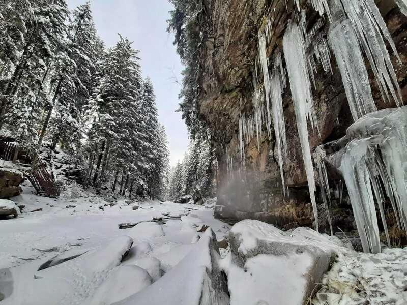 Котедж Кресаня Mîkulîciîn Exterior foto